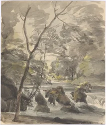 Waterfall in the English Garden