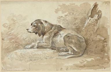 Two Studies of Dogs