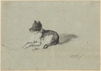 Two Studies of Dogs