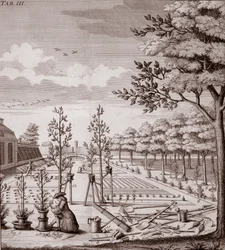Illustration of a Garden Scene, 1753