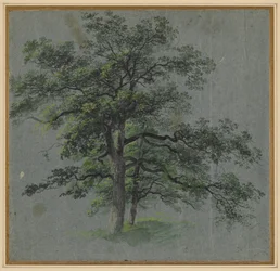 Two Trees (recto)