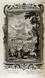 Biblical Varieties of Sheep