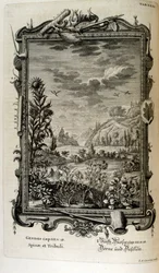 Copperplate Engraving from 