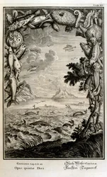 Copperplate engraving from 