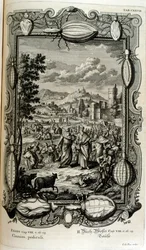 Plague of Lice and Midges