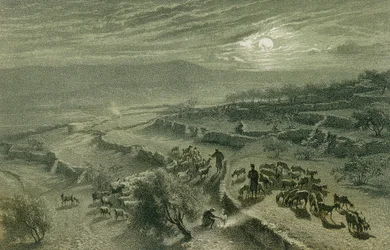 The Valley of Shepherds at Bethlehem