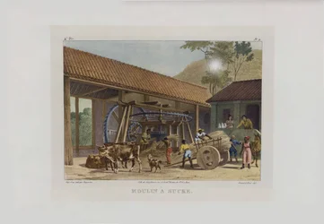 The Sugar Mill. From Malerische Reise in Brasilien