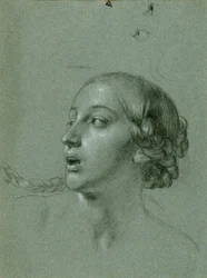 Head Study for 