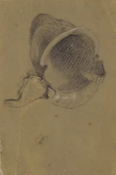 Study of a Helmet