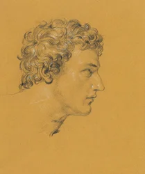 Study of a Head