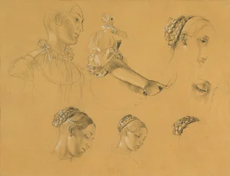 Study for 