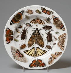 Plate, Lippert & Haas, Schlaggenwald