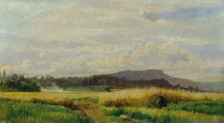 Grain Field with Old Woman