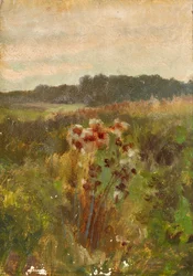 Landscape in Lower Austria