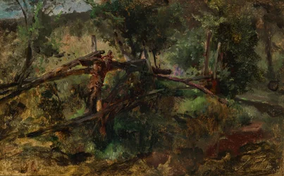 Forest Path with Fence