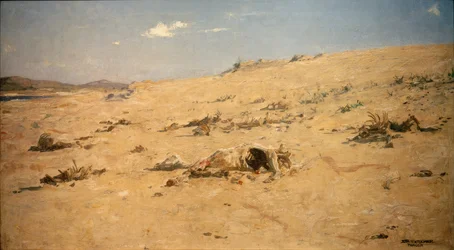 Motif from Tangier