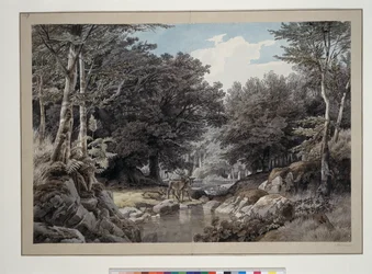 Forest Interior with Deer by the Water