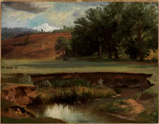 Forest Edge with Pond in the Foreground