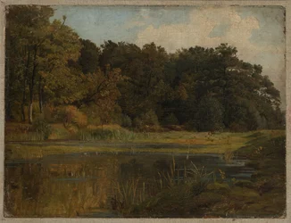 Forest Pond
