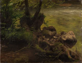 Roots and Stones by the Stream