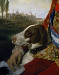 Dog (detail)