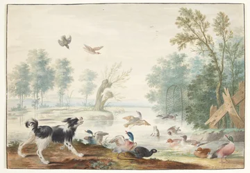A Dog and Ducks by a Lake
