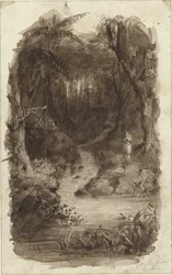 Man in Tropical Forest, Standing by Water
