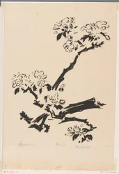 Apple blossom