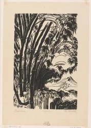 Bamboo