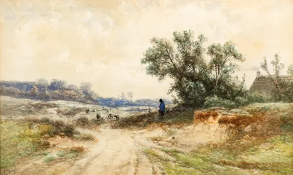 Landscape