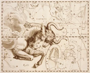 Taurus (zodiac sign), engraving from Firmamentum Sobiescianum sive Uranographia, Complete star catalogue, by Johann Hevelius, printed in Gdansk