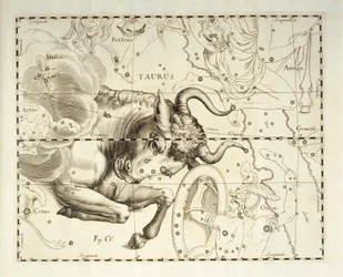 Taurus, constellation of Taurus, engraving from celestial atlas Firmamentum Sobiescianum sive Uronographia, by Johann Hevelius