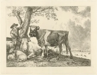 Bull and Farmer