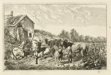 Four Goats and a Sheep by a House