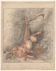 Dead Hare, Hanging by a Paw