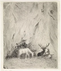 Deer in a Bohemian Forest