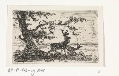 Two Deer Under a Tree