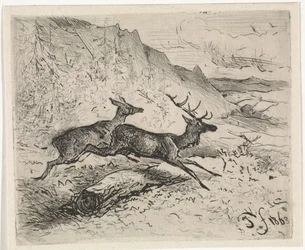 Two Running Deer