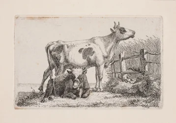 A Resting and a Standing Cow