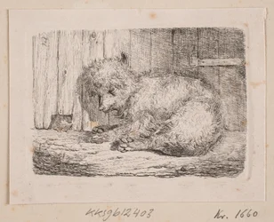 A Long-haired Dog