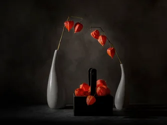 Dramatic Chinese Lanterns