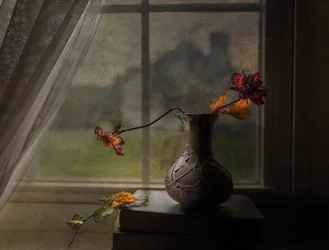 Dried Roses Window View