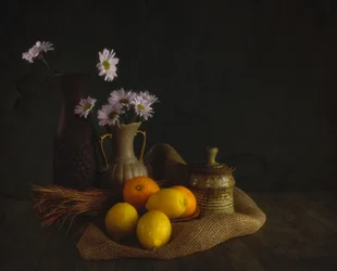 Moody Flowers and Fruit