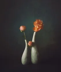Moody Rose Vases