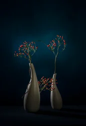 Red Berries Modern Vases