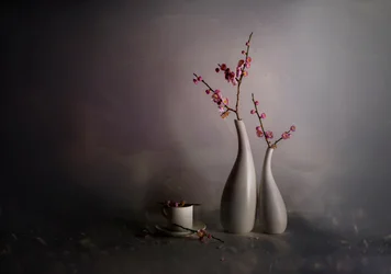 Spring Blossom Still Life