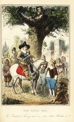 King Charles II Hiding Up an Oak Tree in Boscobel Wood, After the Battle of Worcester