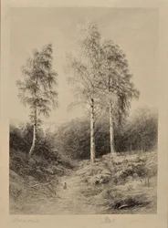 The Three Graces