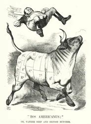 Punch Cartoon: Bos Americanus; or, Yankee Beef and British Butcher - Expected Benefits to Consumers of Importing American Meat
