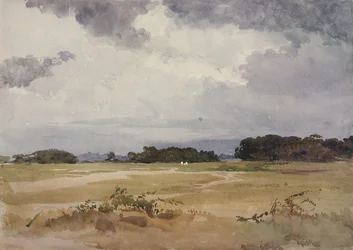 A Field with Groups of Trees